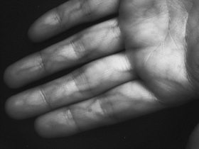 画像：近赤外線カメラで手を撮影(2)