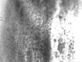 画像：近赤外線カメラ(フィルタあり)で水滴を撮影